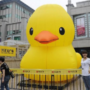 inflatable duck advertising